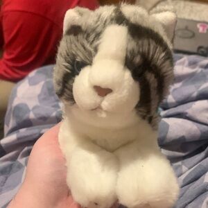 Webkinz signature tabby